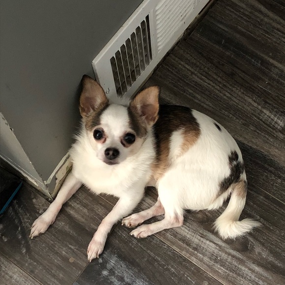 Jessica - Picture 5 of 8